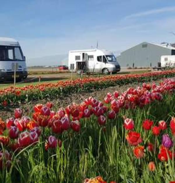 Hoofdfoto Camperplaats De Tulpentuin
