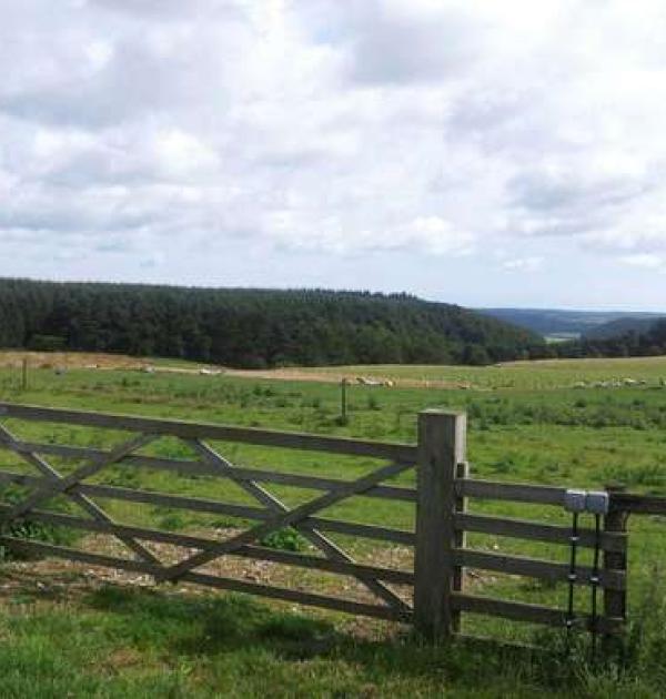 Hoofdfoto South Moor Farm