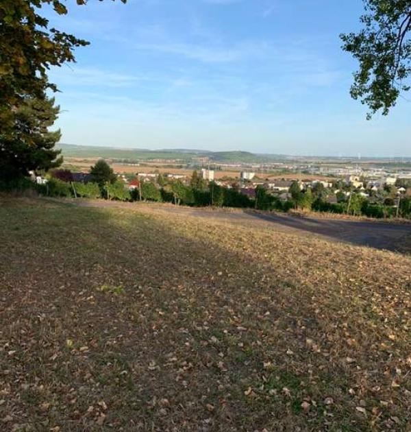 Hoofdfoto Weingut Gut Neuhof
