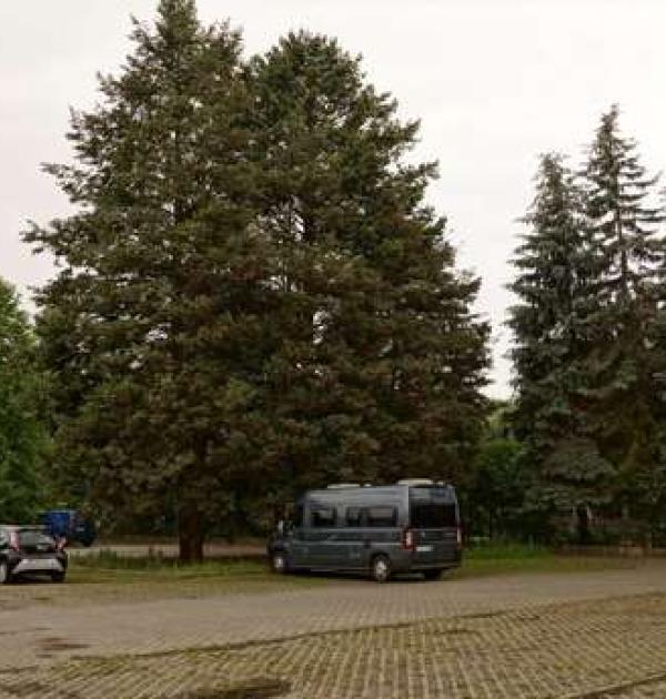 Hoofdfoto Parkplatz am Tierpark
