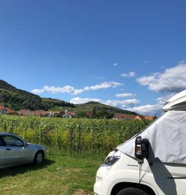 Hoofdfoto Weingut Herrenhof