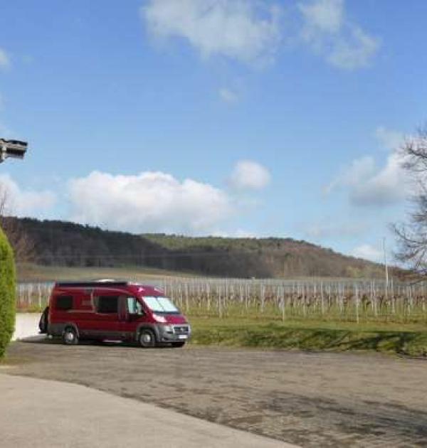 Hoofdfoto Weingut Cuntz Sonnenhof