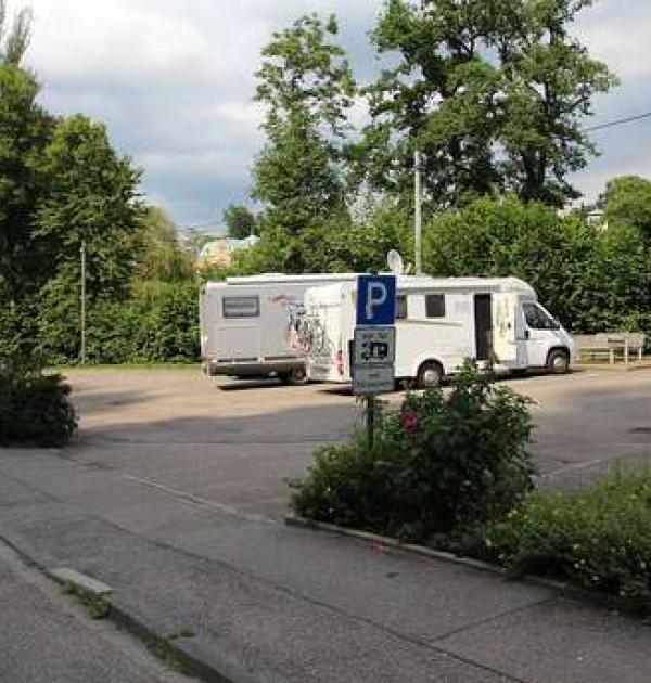 Hoofdfoto Murginsel