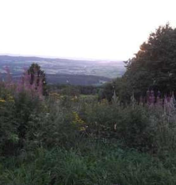 Hoofdfoto Bergasthof Hoher Meissner