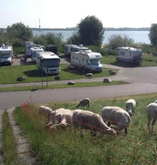 Hoofdfoto Elbdeich