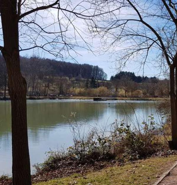 Hoofdfoto Ommersheimer Weiher