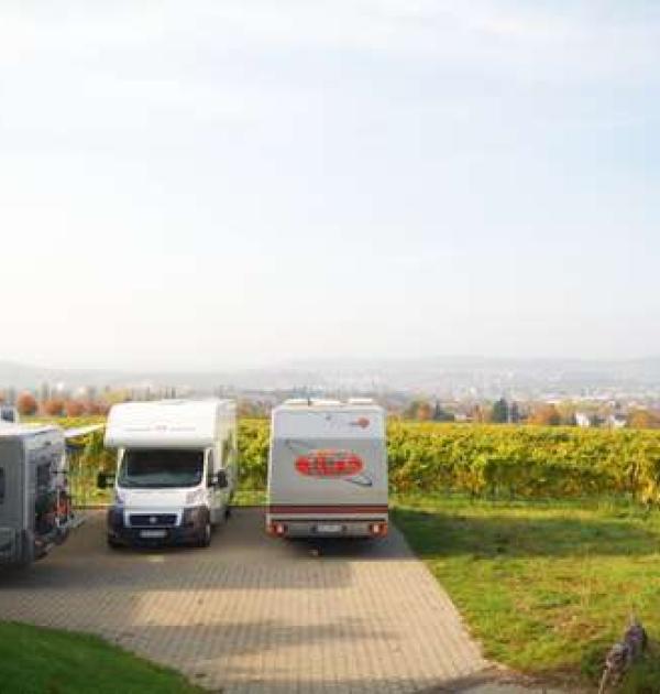 Hoofdfoto Weingut Desoi