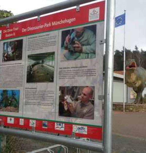 Hoofdfoto Dinosaurierpark Münchehagen