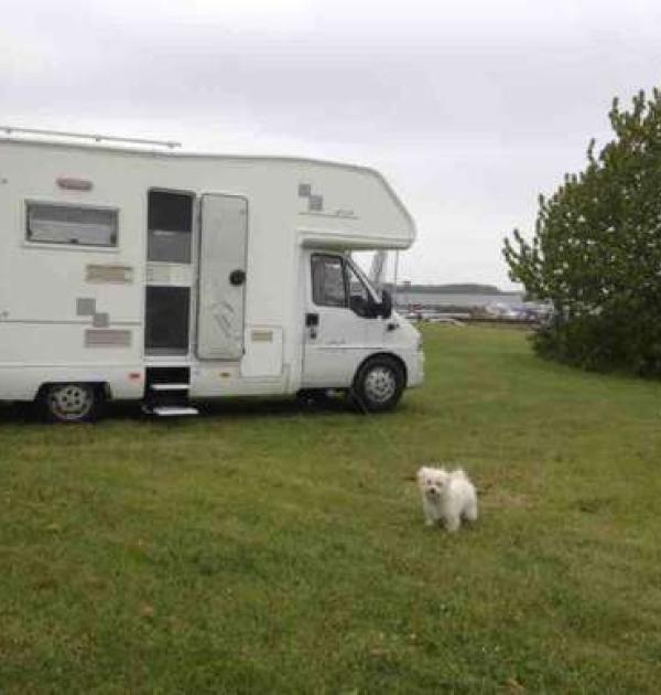 Hoofdfoto Hvalpsund Autocamperplads