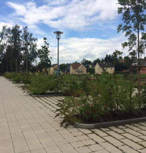 Hoofdfoto Stellplatz Am Summa-Park