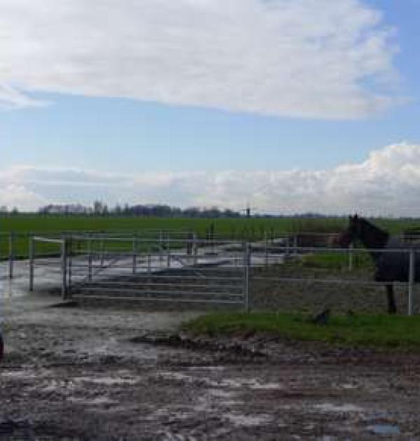 Hoofdfoto Campererf Melkwegfarm