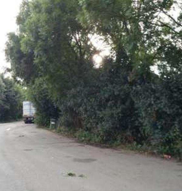 Hoofdfoto Newnham Layby Parking