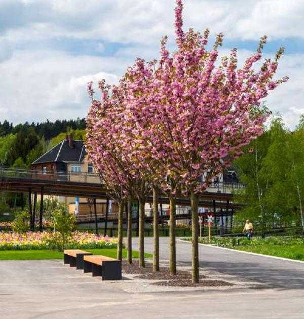 Hoofdfoto Am Gradierter-Landesgartenschau