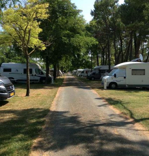 Hoofdfoto Camping Le Dauphin