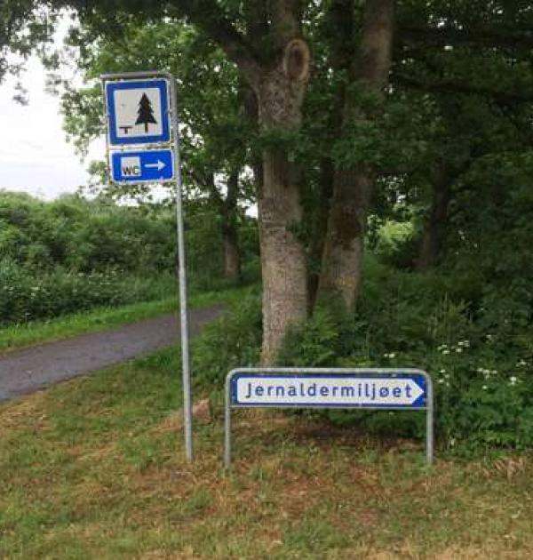 Hoofdfoto Vingsted