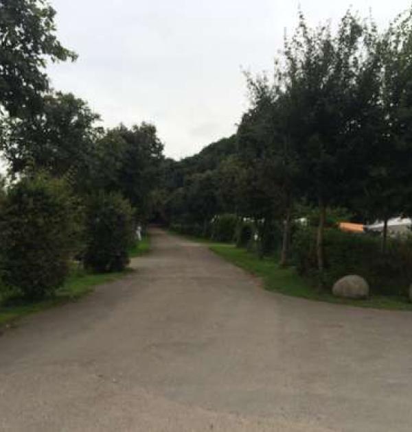 Hoofdfoto Husodde Strand Camping