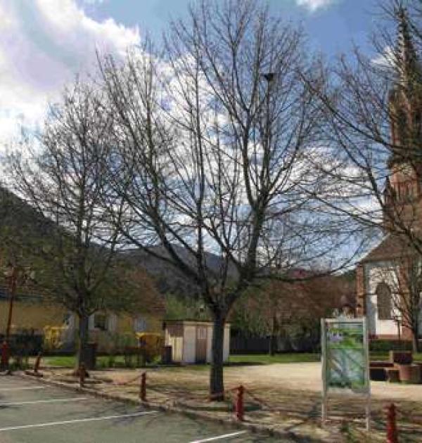 Hoofdfoto Aire Municipale