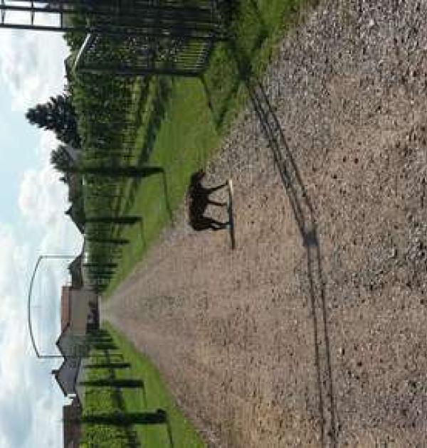 Hoofdfoto Weingut Fitz-Schneider