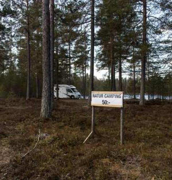 Hoofdfoto Natur Camping Gävunda