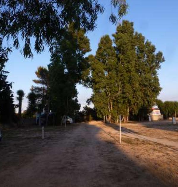Hoofdfoto Eucalyptus Park