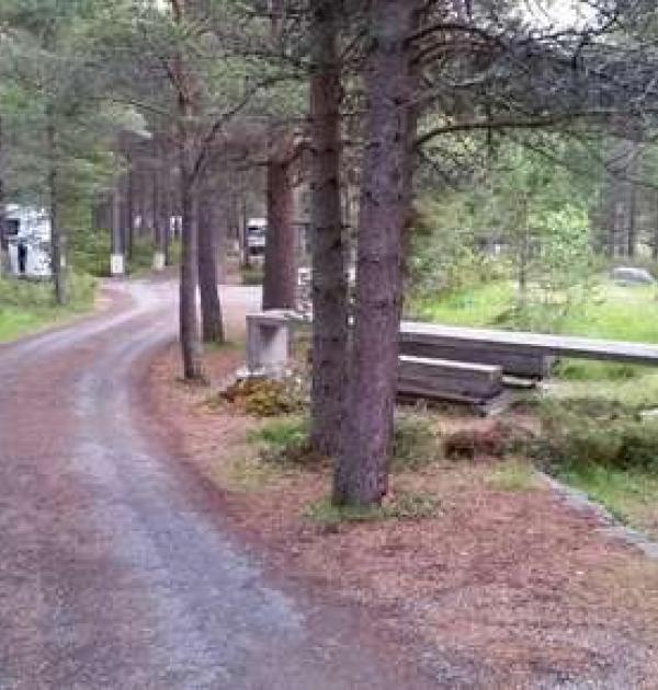 Hoofdfoto Liasanden rasteplass