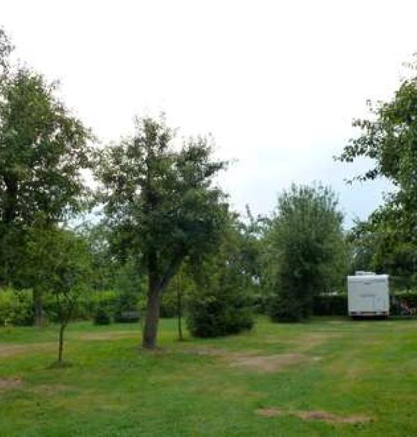 Hoofdfoto Bumerang