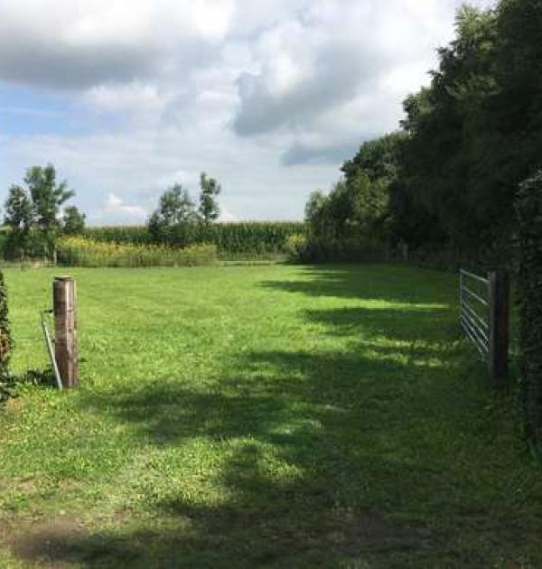 Hoofdfoto Camperplaats bij camping Driehuis
