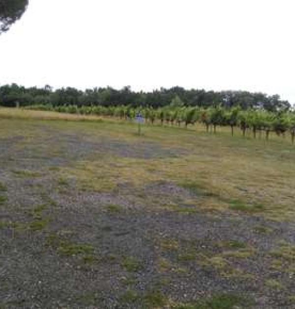 Hoofdfoto Chateau Les Grands Thibauds