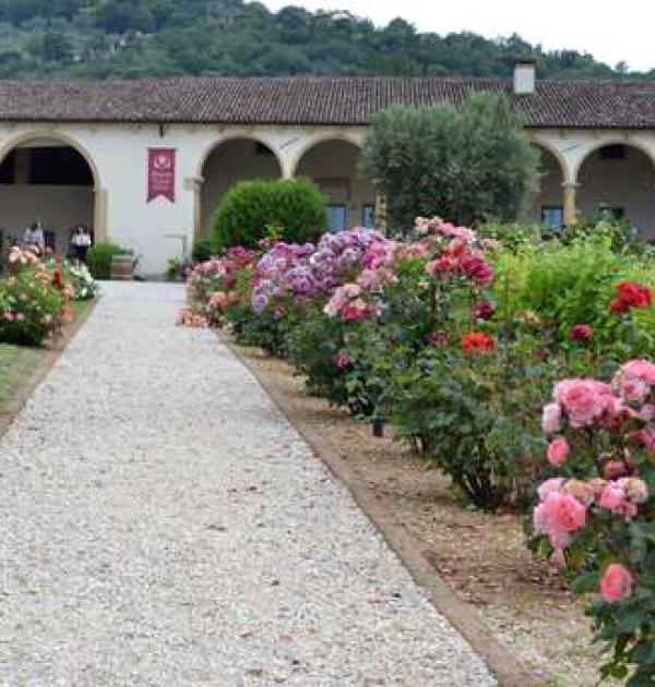 Hoofdfoto Azienda agricola Pegoraro