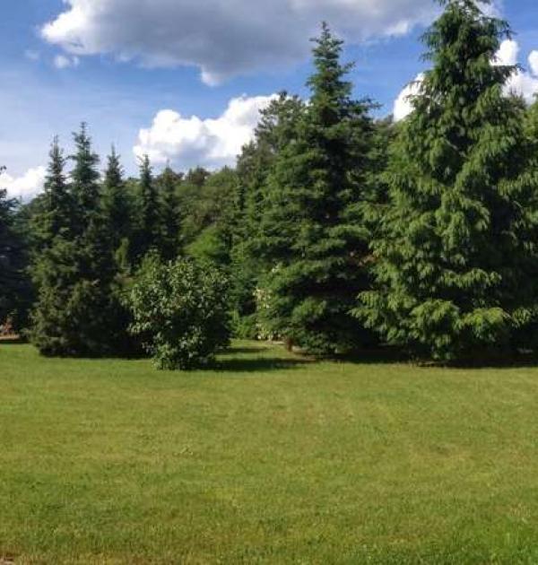 Hoofdfoto Stellplatz Radinkendorf