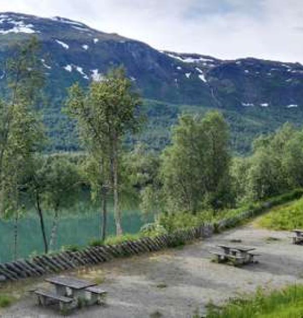 Hoofdfoto Karlstadskogen