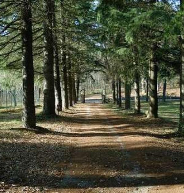 Hoofdfoto Camping Agrituristico Le Fontanelle