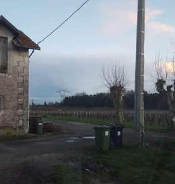 Hoofdfoto Vignobles Pestoury Yvrac