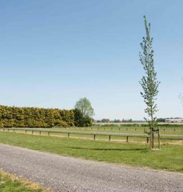 Hoofdfoto Parking  bij Pantropica