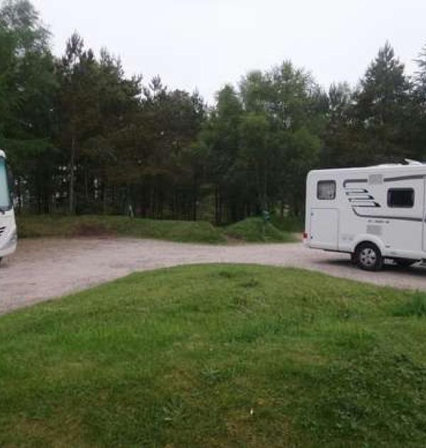 Hoofdfoto Parking Camore Wood