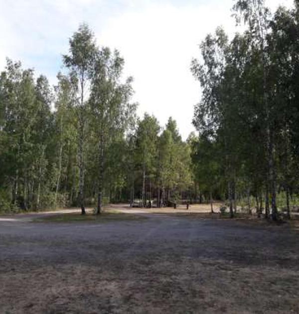 Hoofdfoto Ottebol