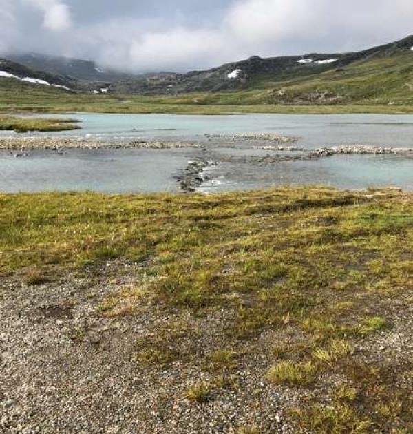Hoofdfoto Høyfjellscamping [Krossbu Turiststasjon]