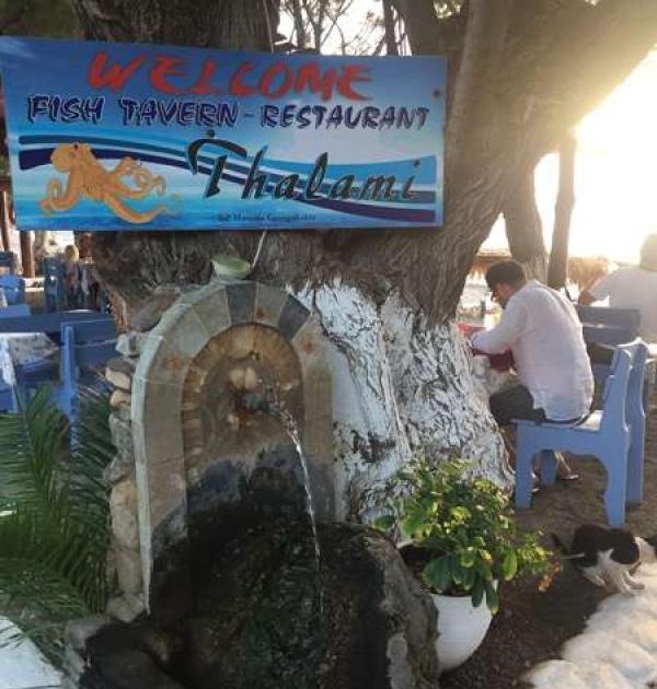 Hoofdfoto Restaurant Thalami
