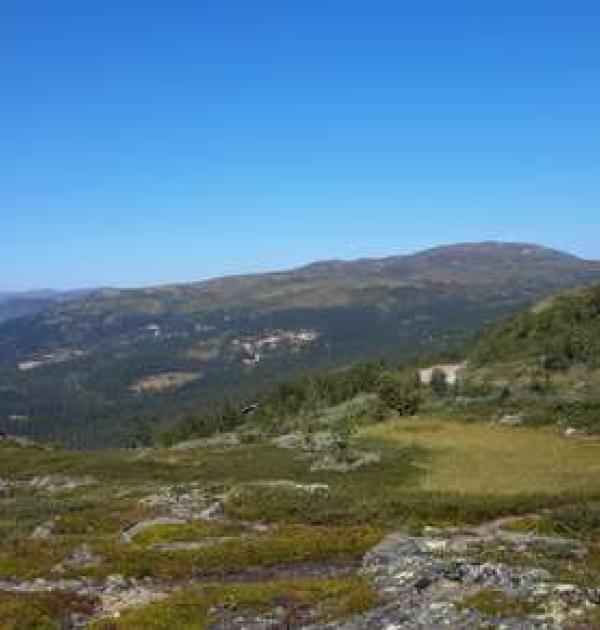 Hoofdfoto Killingdaltjønn