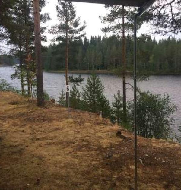 Hoofdfoto Viltcamping