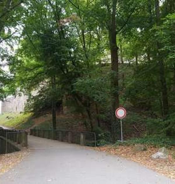 Hoofdfoto Parking Burgruine Schloss Auerbach