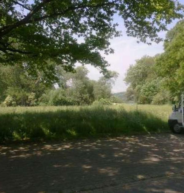 Hoofdfoto Vienenburger See