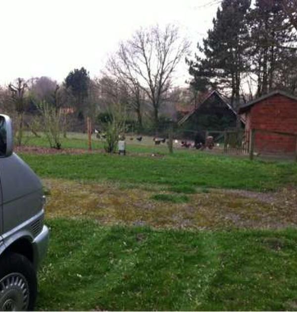 Hoofdfoto Ferienhof Buse-Glass
