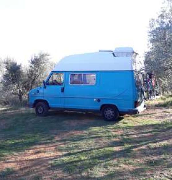 Hoofdfoto Azienda Agricola Il Cavallone