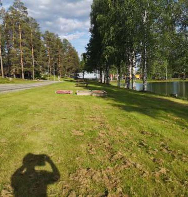 Hoofdfoto Tornegarden