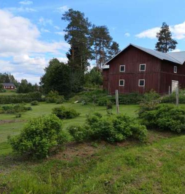 Hoofdfoto Rosenträdgard