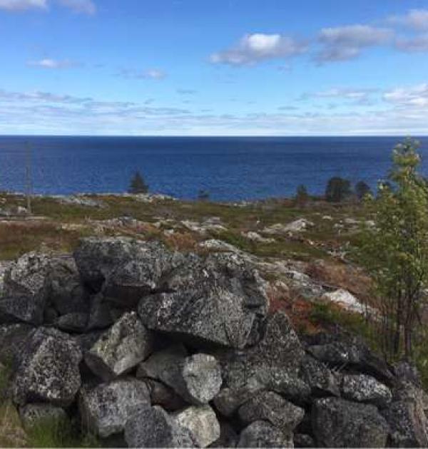 Hoofdfoto Bjuröklubb