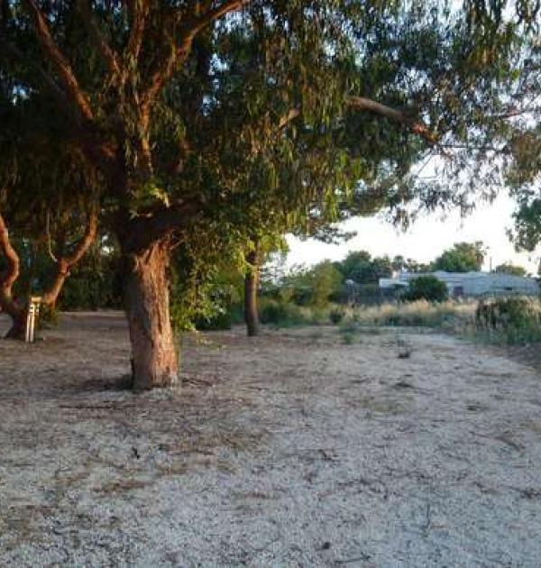 Hoofdfoto Agriturismo Terrauzza Sul Mare