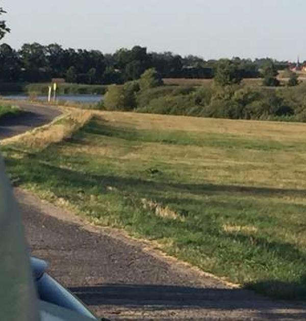Hoofdfoto Friedewald