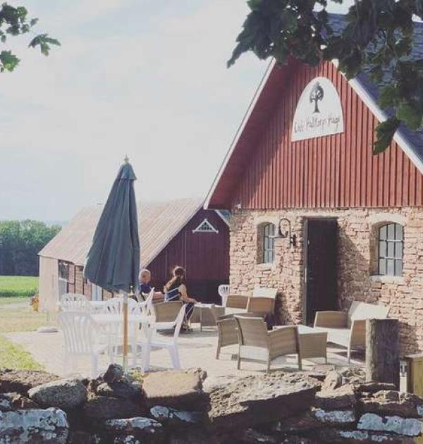 Hoofdfoto Halltorp
